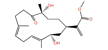 Sinulaflexiolide P